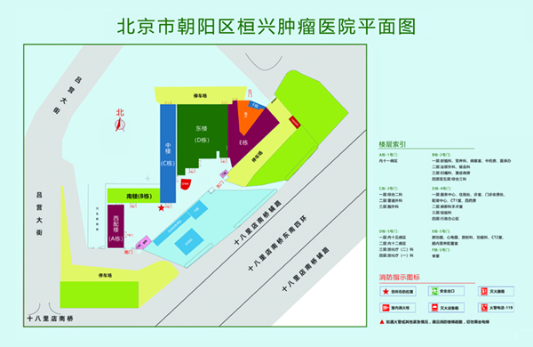 被大肉棒插的视频北京市朝阳区桓兴肿瘤医院平面图